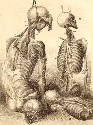 John Bell