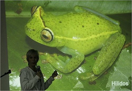 Josefa Senaris