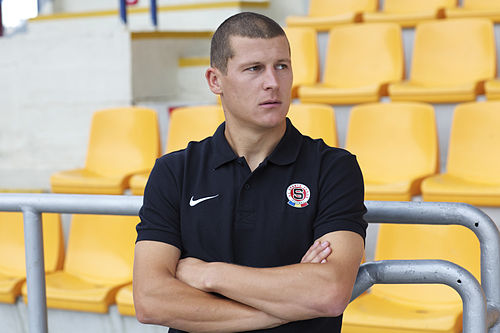 Manuel Pamic
