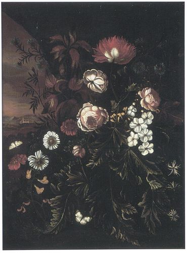 Maria Withoos