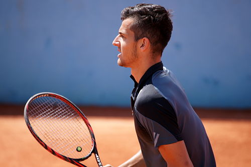 Mate Pavic