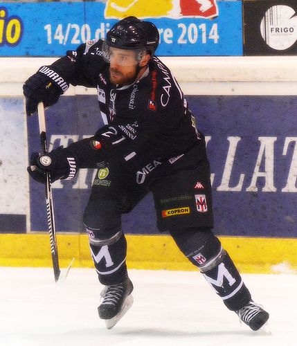 Matt Campanale