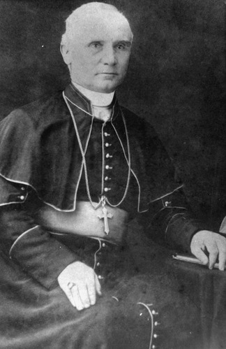 John Cani