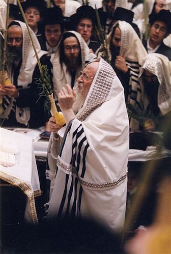 Naftali Halberstam
