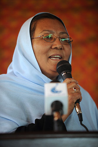 Habiba Sarobi