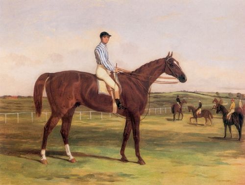 Harry Hall