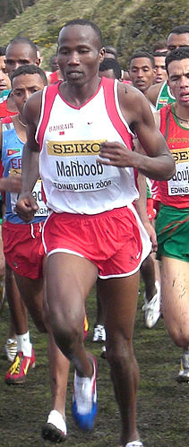 Ali Mahboob