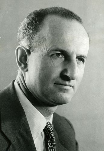 Heinz Steinitz
