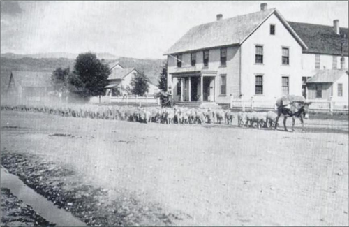 Hiram Leavitt