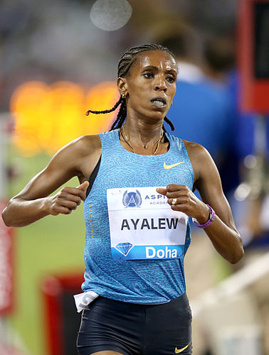 Hiwot Ayalew