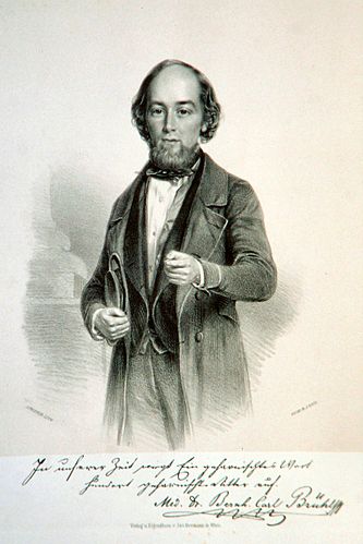 Carl Bruhl