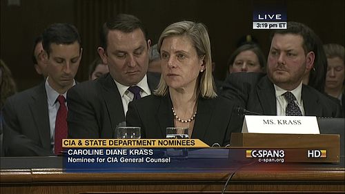 Caroline Diane Krass