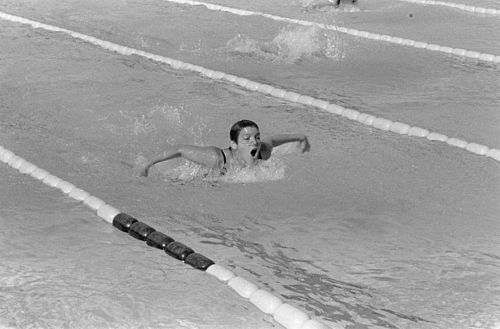 Carolyn Wood