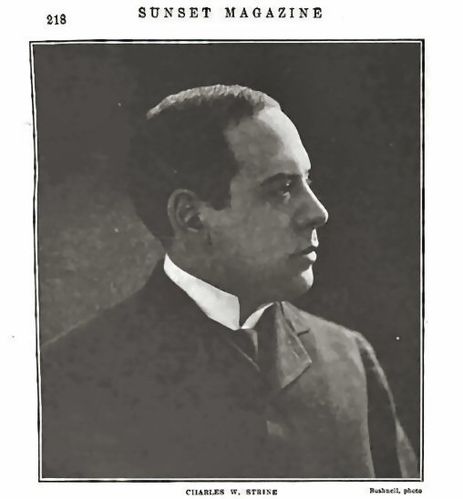 Charles Strine