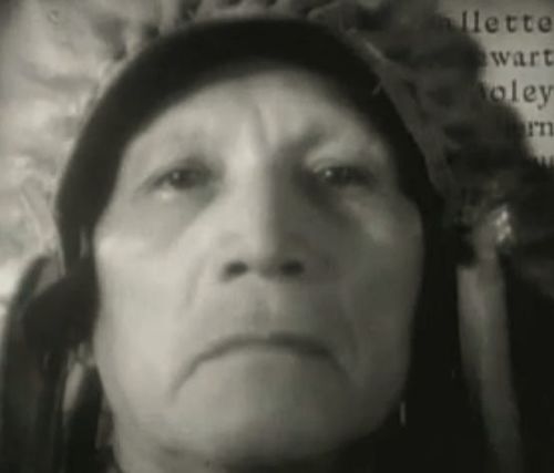 John Tree