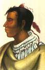 Chief Metea
