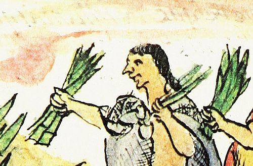 Chimalpilli Matlaccoatzin