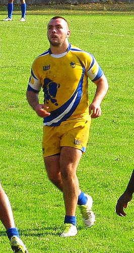 Constantin Pristavita