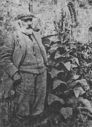 William Logan