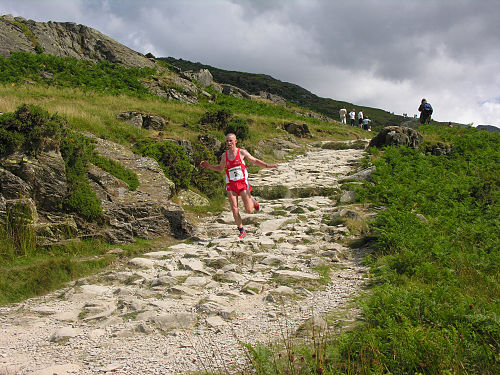 Timothy Davies