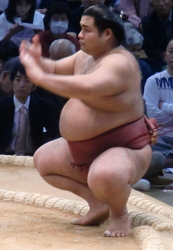 Takayasu Akira