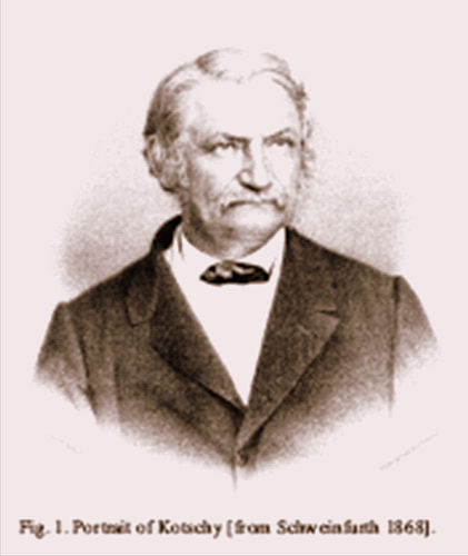 Karl Kotschy