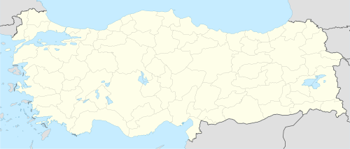 Serena Shim