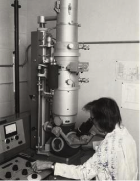 Ruth Bleier