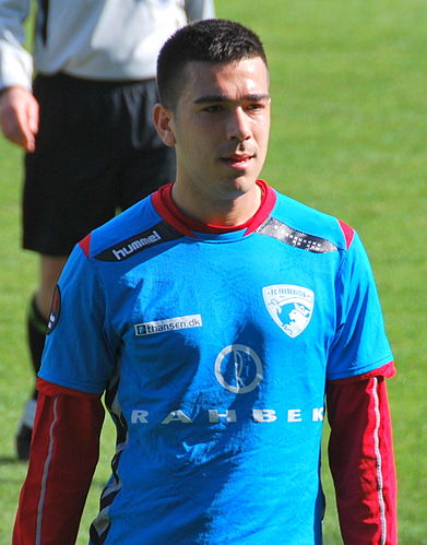 Sanel Kapidzic