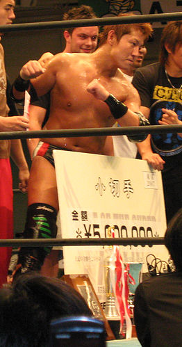 Akihito Sawafuji