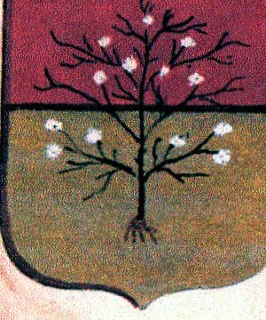 Ricciarda Cybo-Malaspina