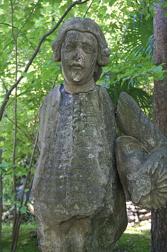 Peter Salis