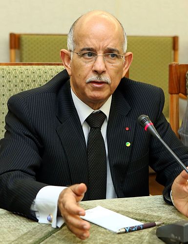 Mohamed Cheikh Biadillah