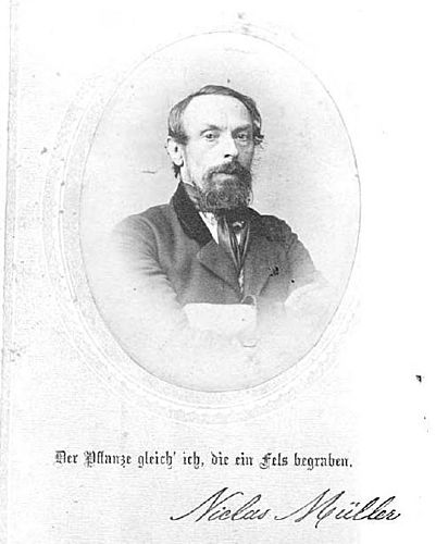 Niclas Muller