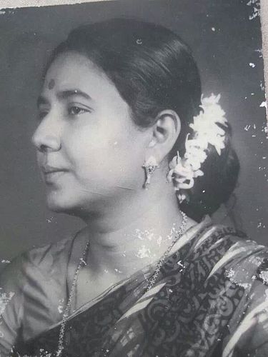 Nilima Senator
