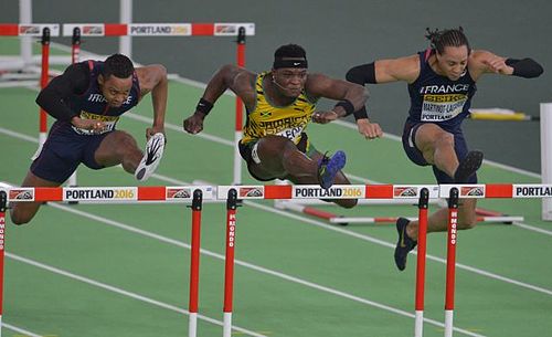 Omar McLeod
