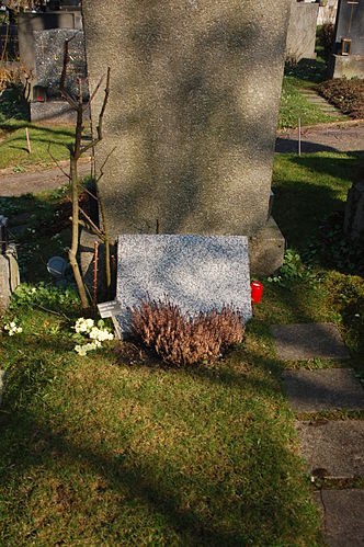 Otto Pacht