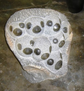 Locardia Ndandarika