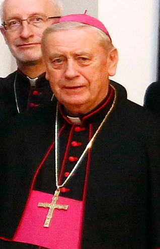 Ludwig Schwarz