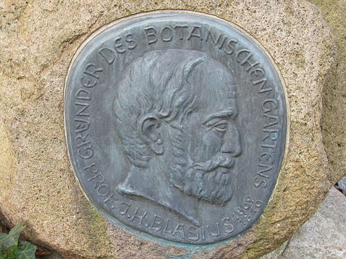 Johann Blasius