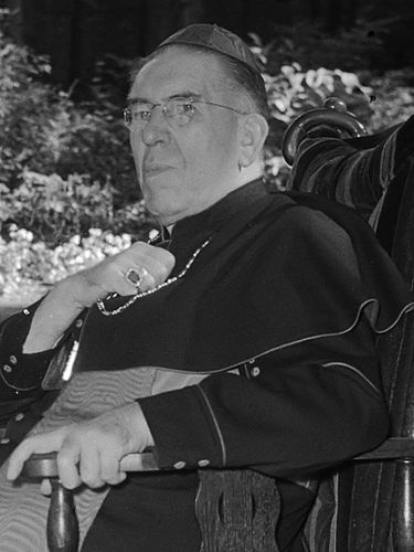 Johannes De Jong