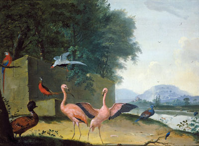 Johannes Bronckhorst