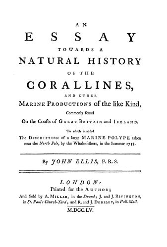 John Ellis