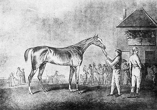 John Shepherd