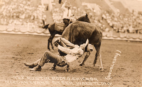 Tex Austin