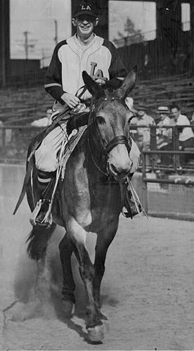 Joe Berry