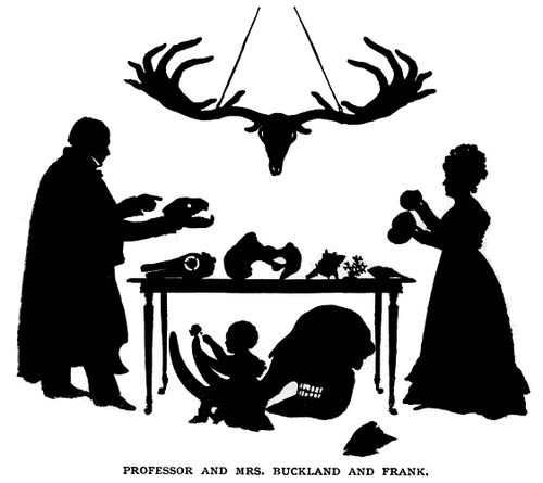 Mary Buckland