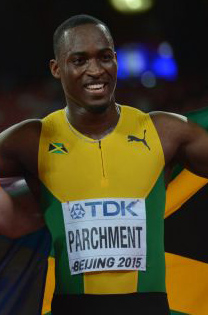 Hansle Parchment