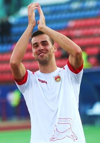 Haris Handzic