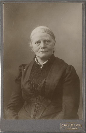 Sina Mesdag
